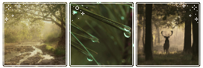 forest-divider-by-delicatedespair-daqxbmq-fullview-png-token-ey-J0e-XAi-Oi-JKV1-Qi-LCJhb-Gci-Oi-JIUz-I1-Ni-J9-ey.png