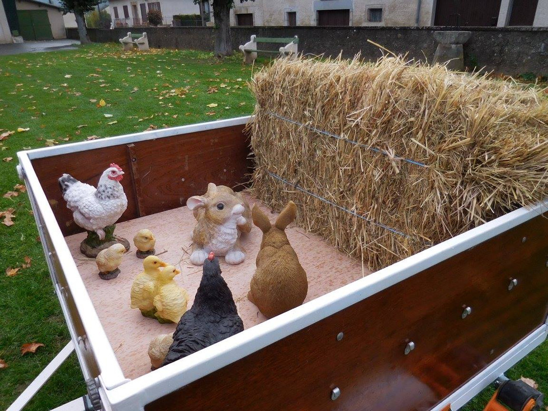 12119945_830939413693817_3127123170289452065_o