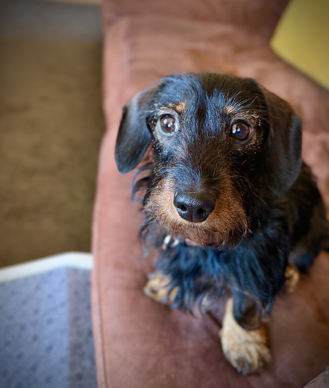 [Image: IMG-0423.jpg]