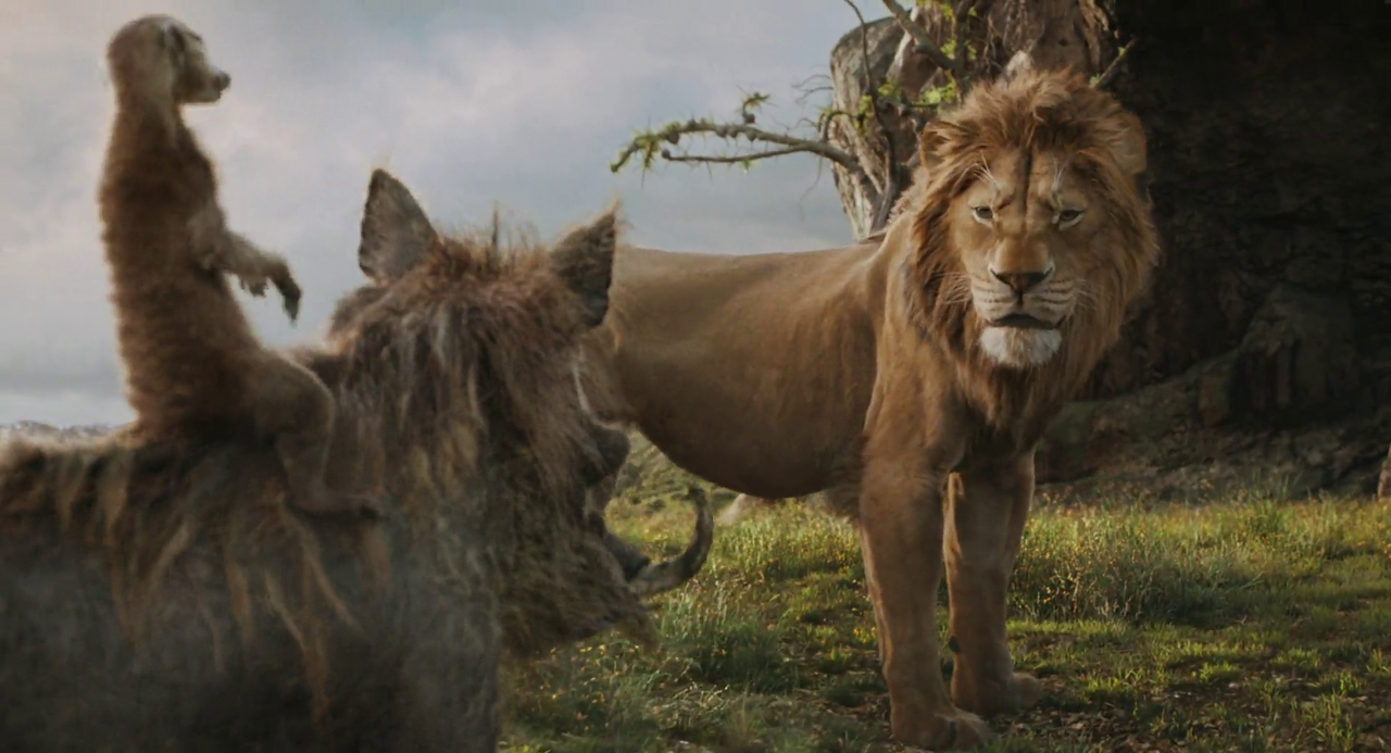 vlcsnap-2025-02-19-18h54m27s428