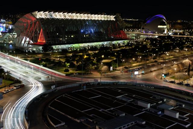 VALENCIA en un fin de semana - Blogs de España - Sábado 30/12: Llegada a Valencia y visita al Oceanogràfic (35)