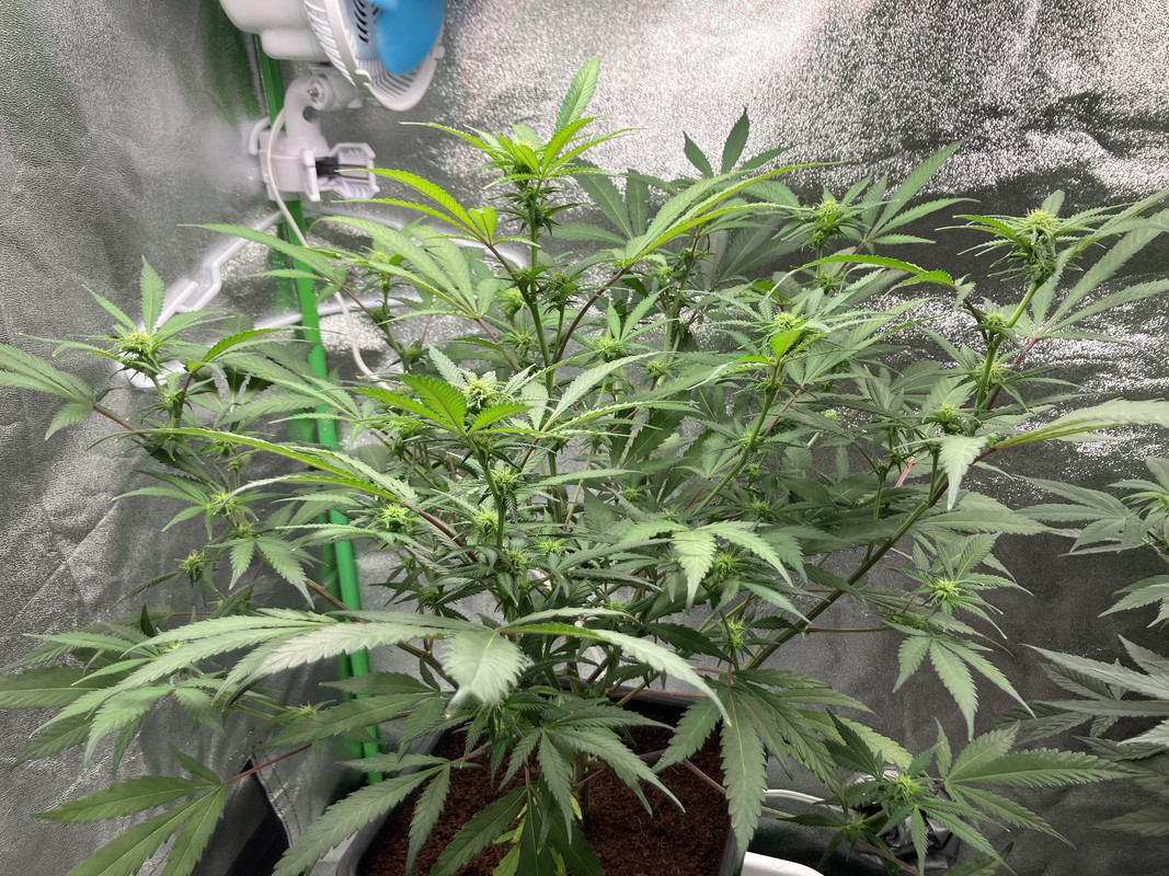 408C7063-FB91-4C78-A1A4-1054DF19F12A