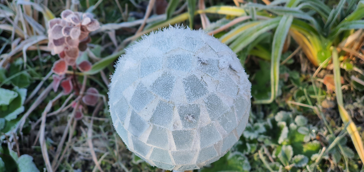 20241117_090139