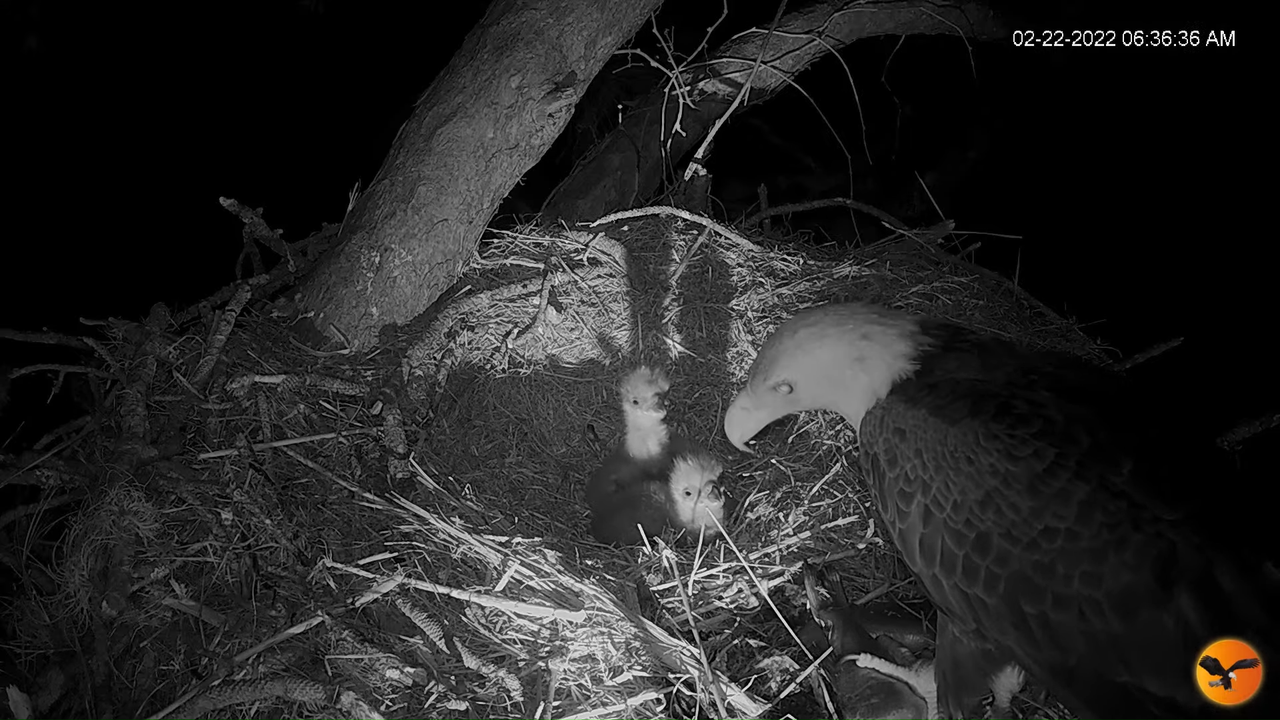 EC 4K Overhead Cam 12-50-22 screenshot (1)