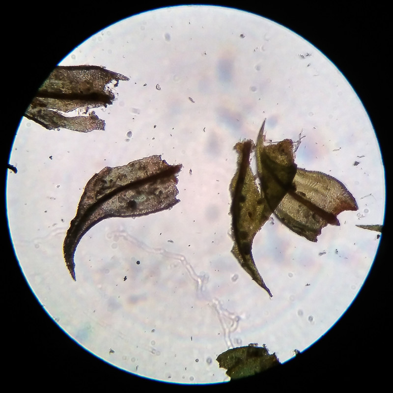 IMG 20250615 222034 HDR