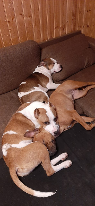 6B12A084-114B-4005-8750-4B0AFF210031