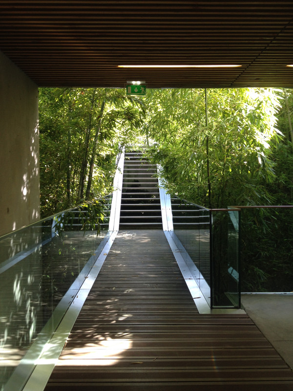 Trémie Vue Passerelle N-1