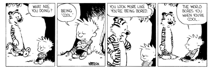 calvin and hobbes