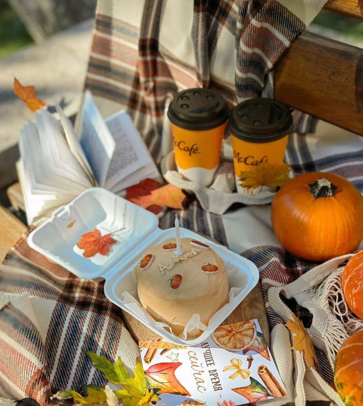 Screenshot_20231210_165537_Instagram