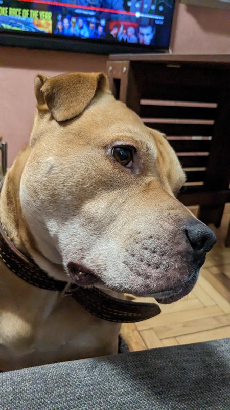 7EB07C87-6853-4168-BCDB-9A3E4A25CDA8