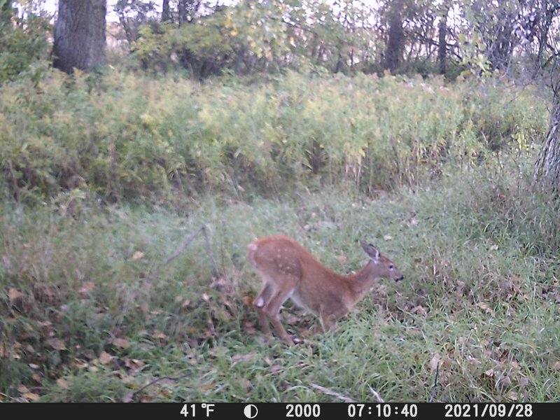 5C56627E-A6FF-4C15-BE94-7194A931BA06