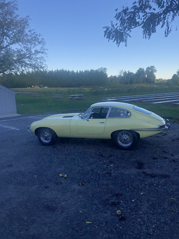 C9537AB7-8438-4FD7-A785-A0A0CEA64A2C