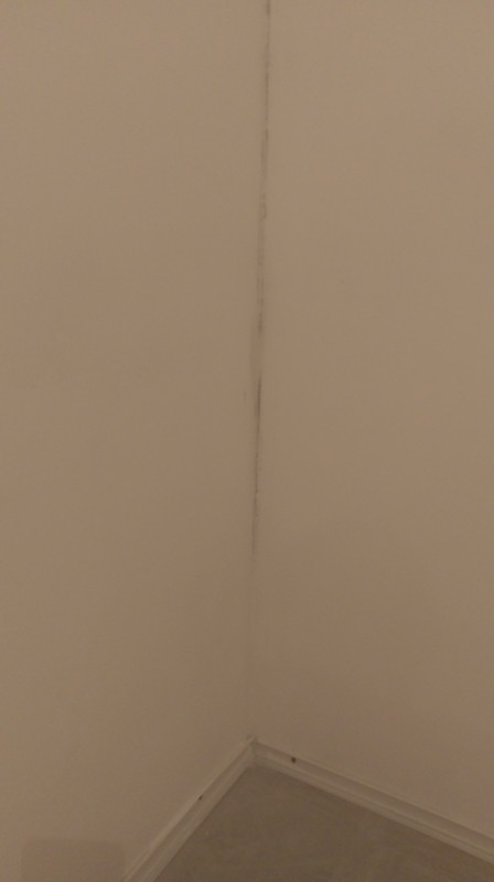 IMAG6525