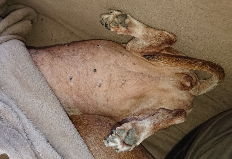 [Image: 20240129-144815.jpg]