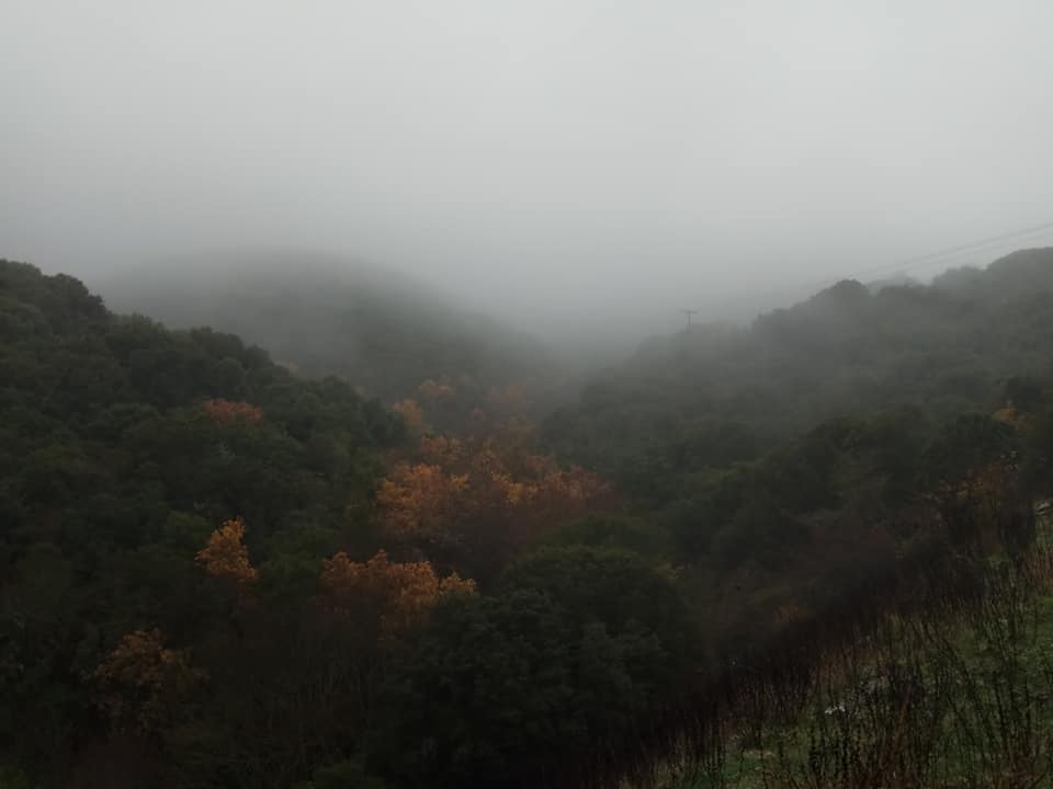 80006180-10221271478638407-4480786088239