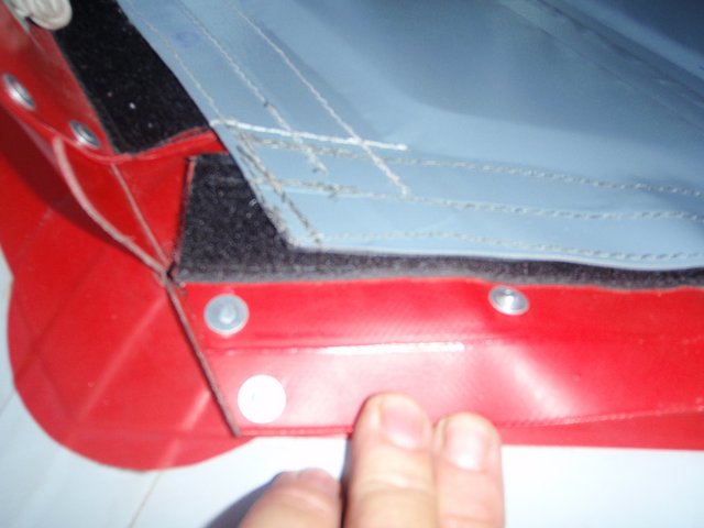 mimosos en berisso 216