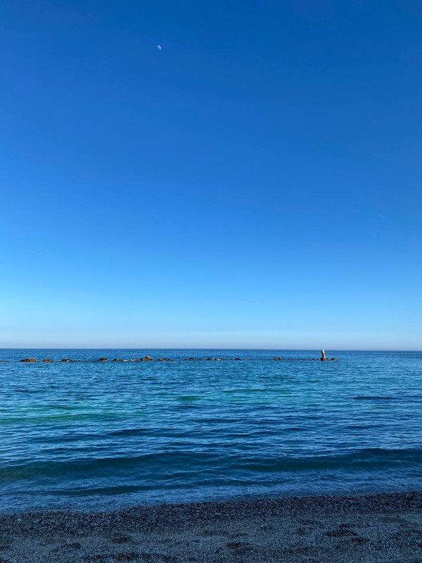 photo 2026 02 25 15 50 57 (2)