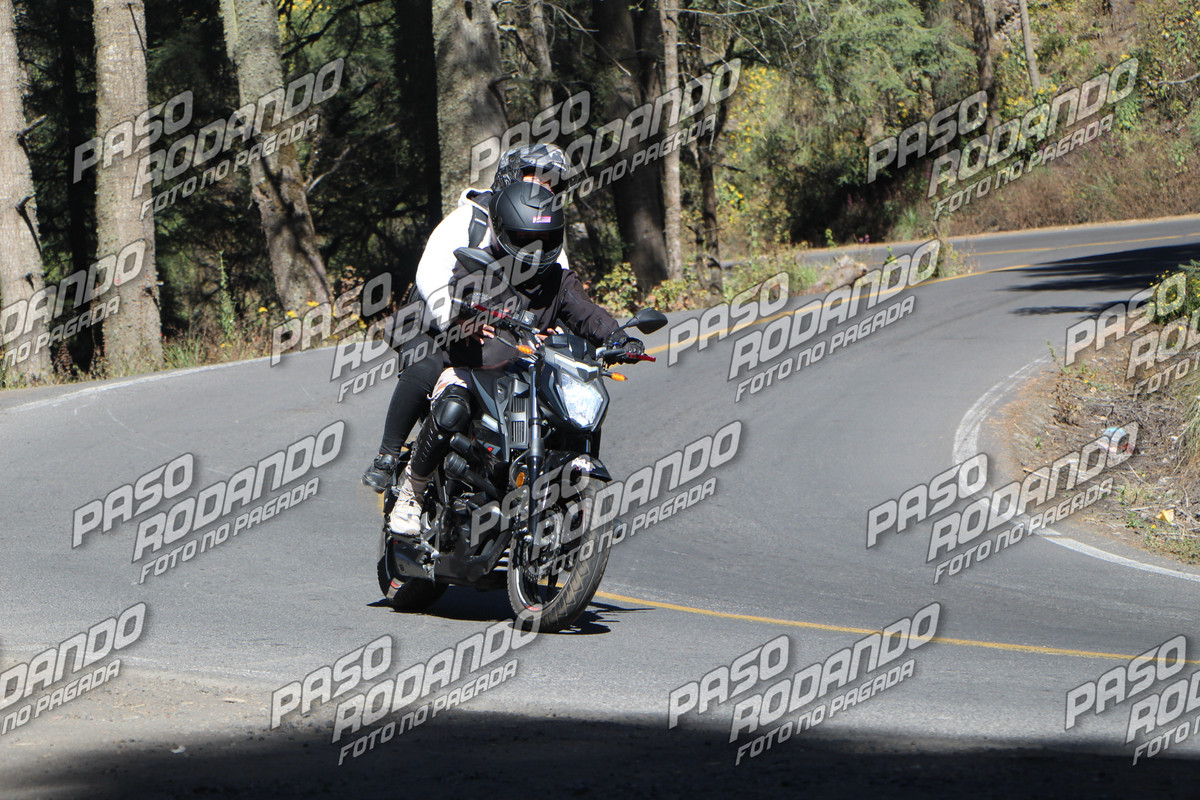 IMG 8873 wm 2244195 299999999 watermarked — Postimages