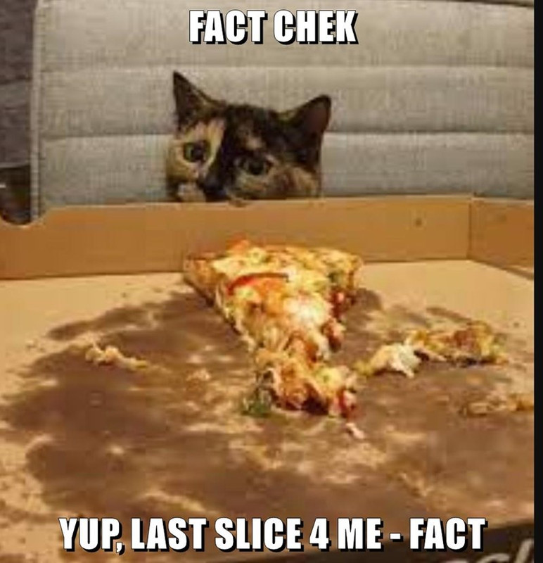fact-checked