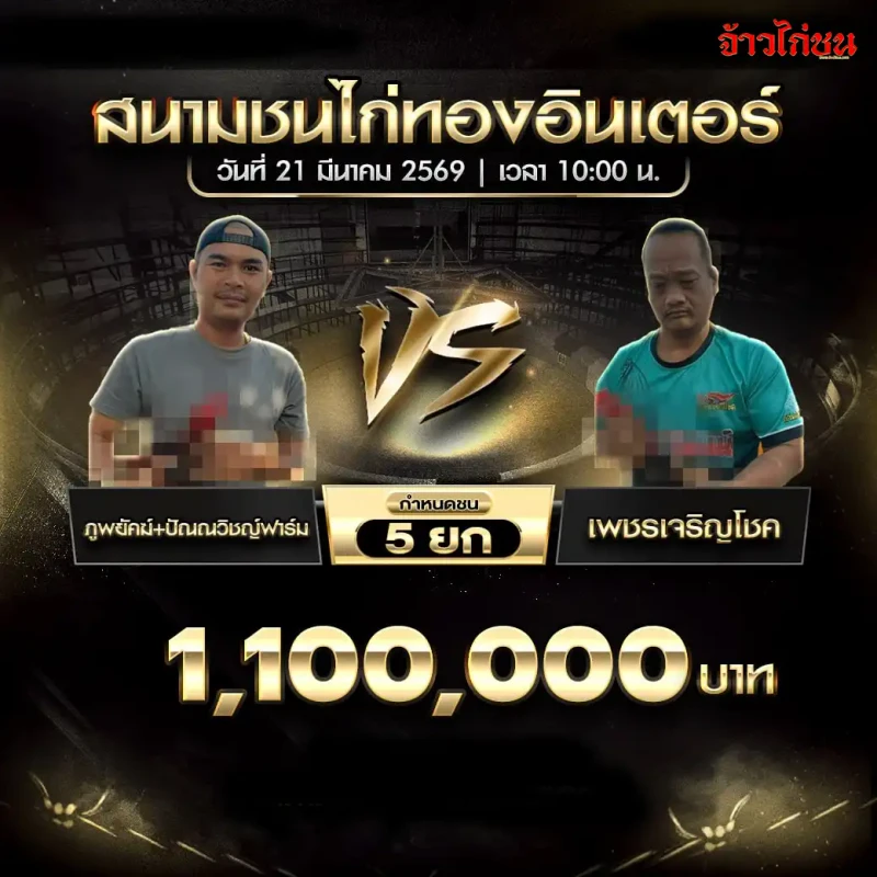 ภูพยัคฆ์+ปัณณวิชญ์ฟาร์ม ปะทะ เพชรเจริญโชค ในโปรแกรมไก่ชนวันนี้ สนามทองอินเตอร์