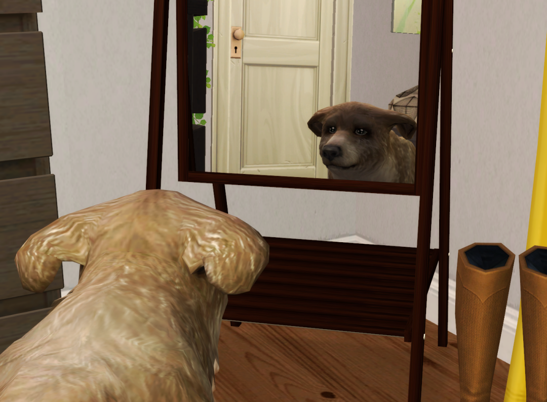 Sims2-EP9-RPC-2023-02-21-13-26-49-07