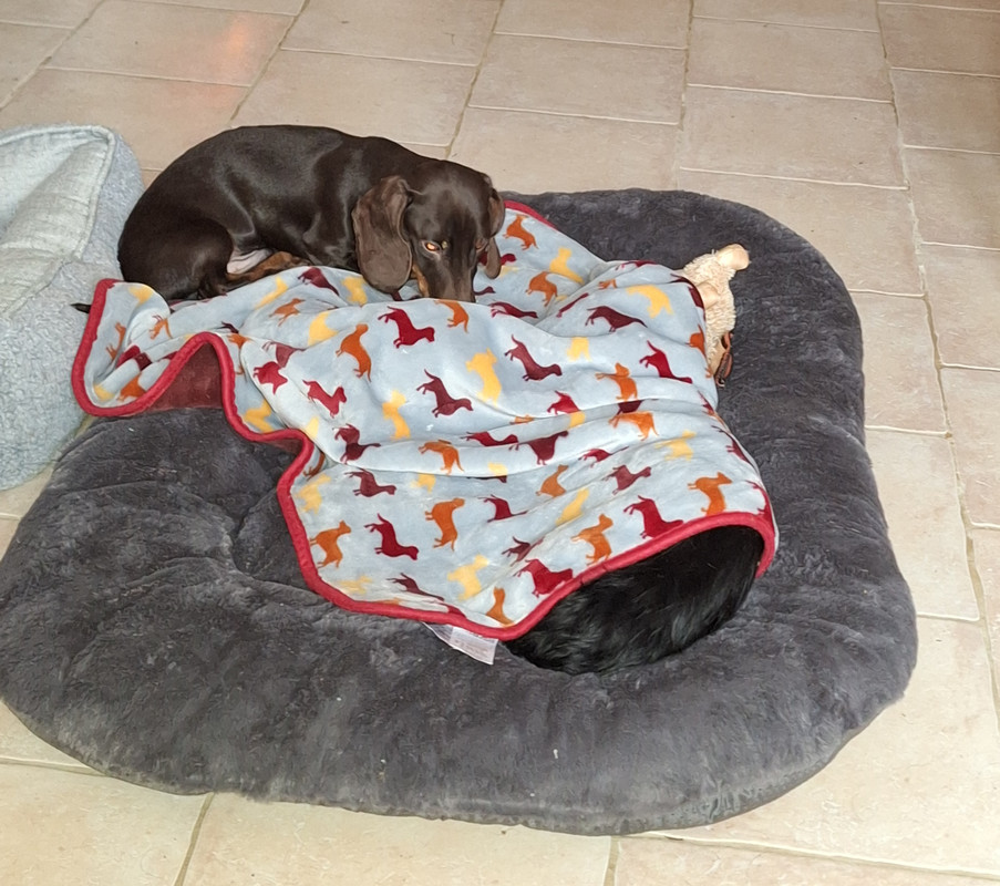 [Image: 20240205-131159.jpg]