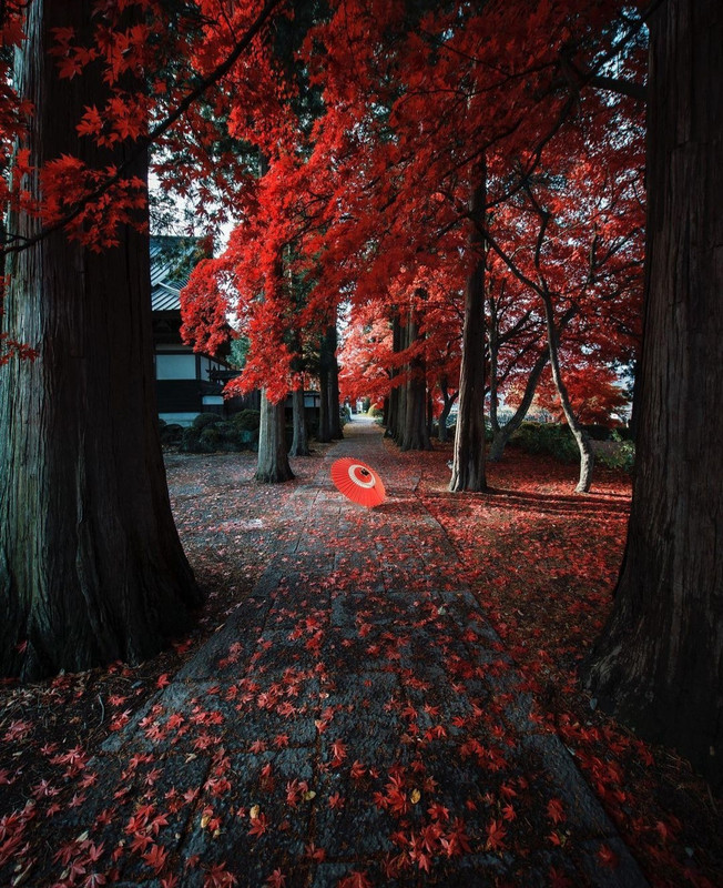 Screenshot_20231208_223510_Instagram