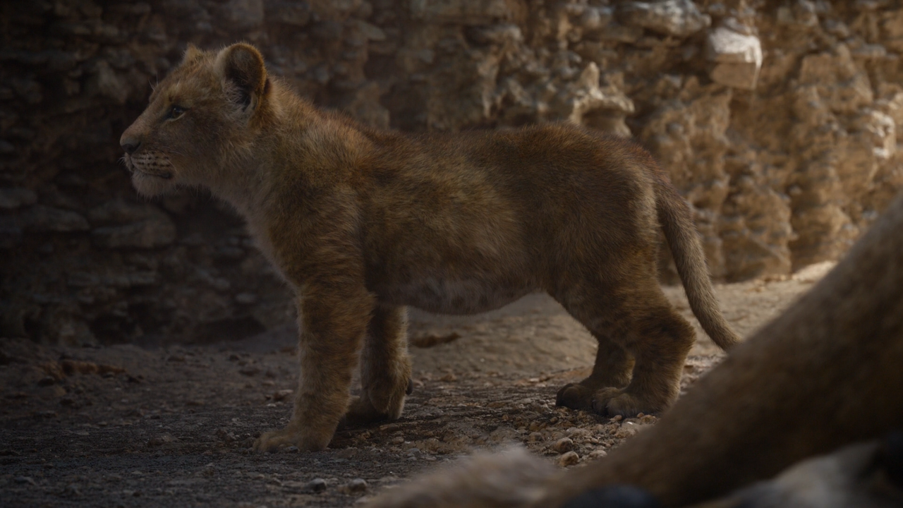 Il Re Leone (2019) [BluRay Rip 1080p ITA-ENG DD AC3 SUBS] [M@HD]