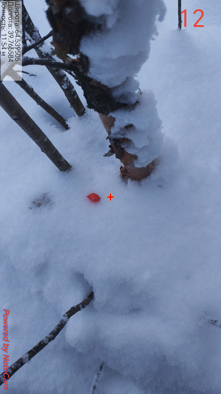 20260122 135823 edit 32360726821403