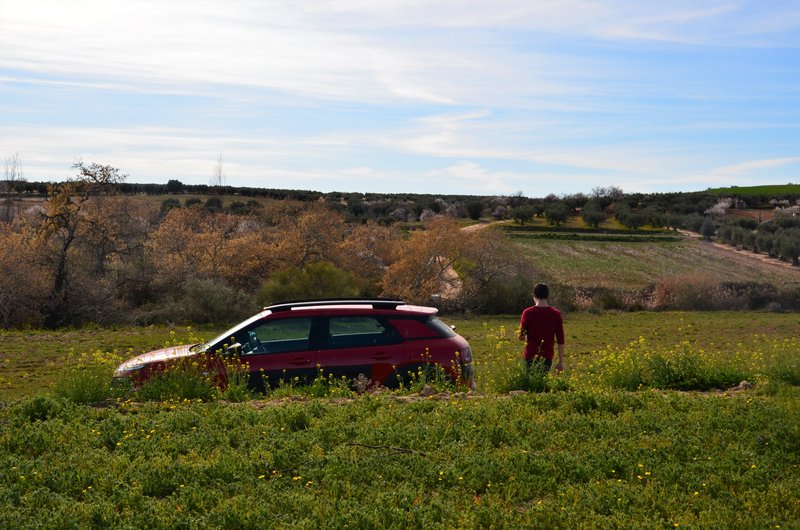 BARRANCAS DE BURUJON-8-3-2015-TOLEDO - Paseando por España-1991/2024 (23)