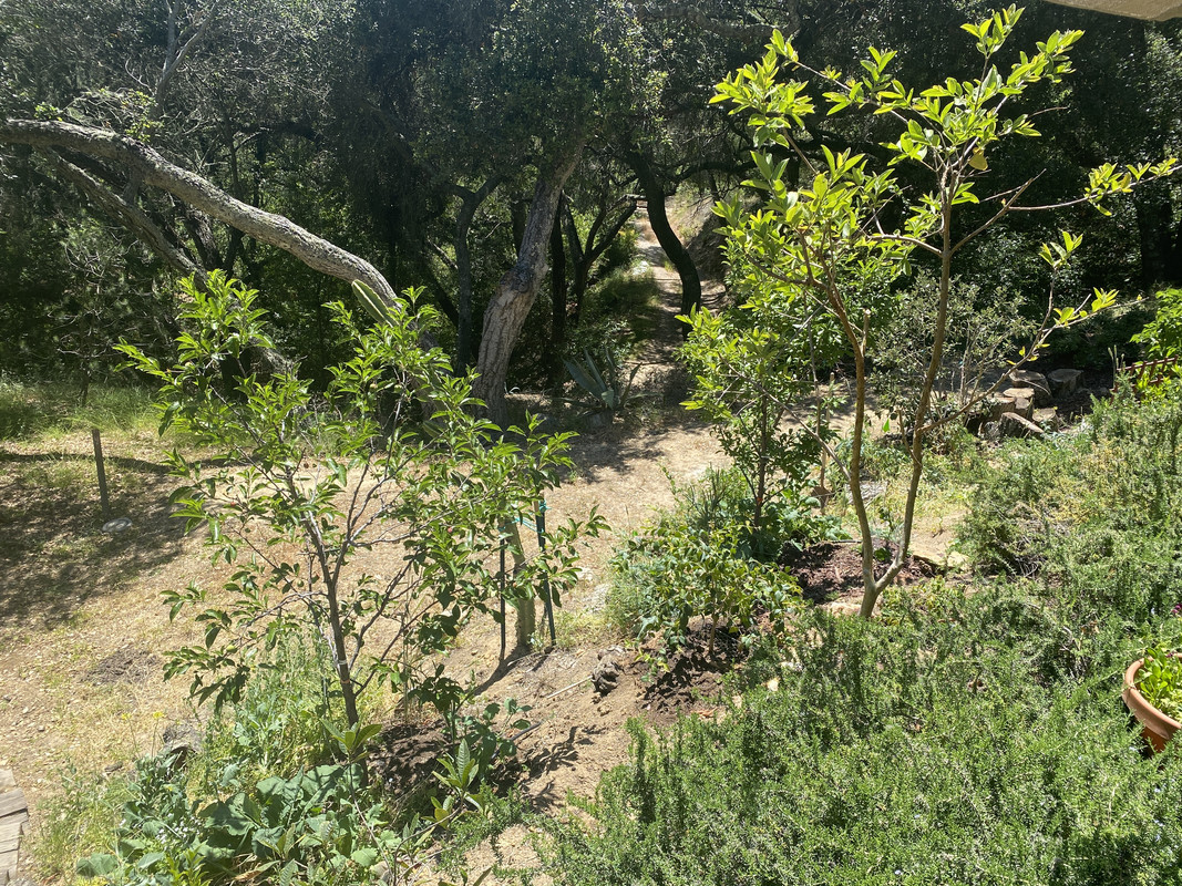 A14926F0-7691-43F7-A4EC-D085E16FD15B