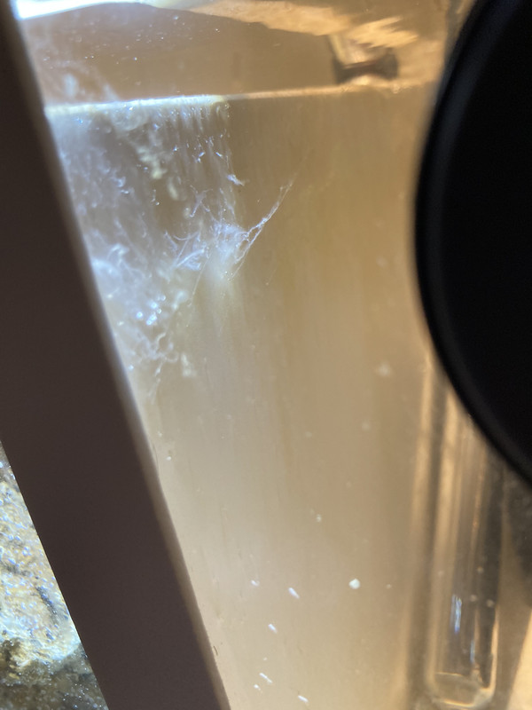 F04107DF-FB10-4DE6-B00B-27002BE1F46D