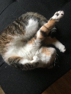 1-BE78-D34-2843-4-DBD-A4-AA-AC176-A51-EC