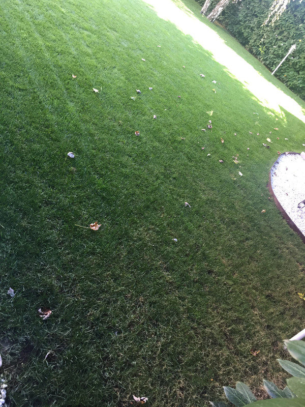 46629B7A-A3CF-475F-B16F-507D8104CCA0