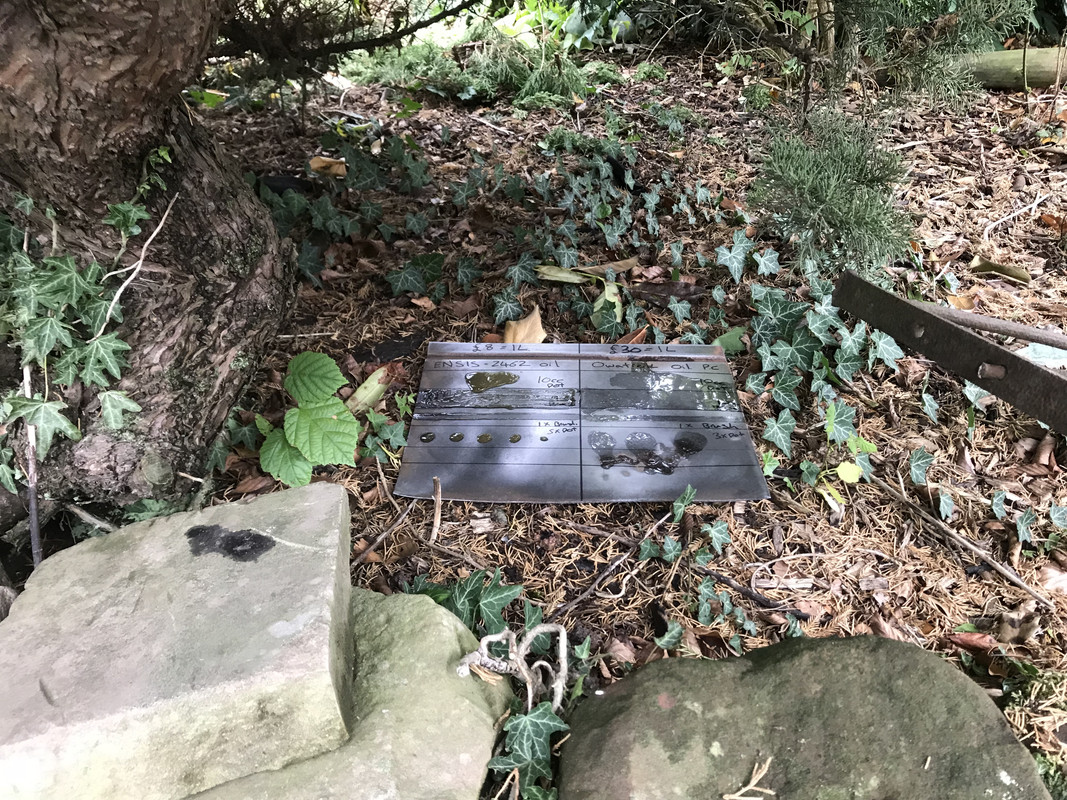 9890BD02-01AC-4B77-AED2-91DFD267BA53