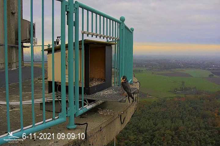 campics vanaf 1 juli  © VWGGemert  en bonusjes van ter plekke 4