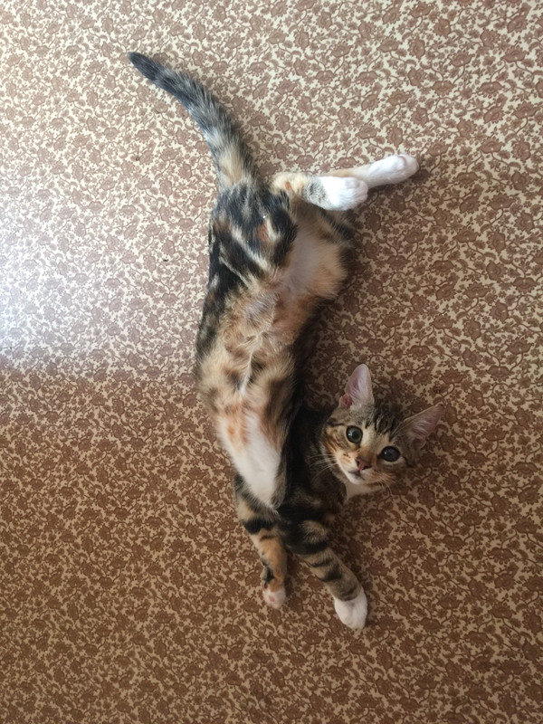 5BF779BD-D8D4-4A05-809C-25D921ABD1EE