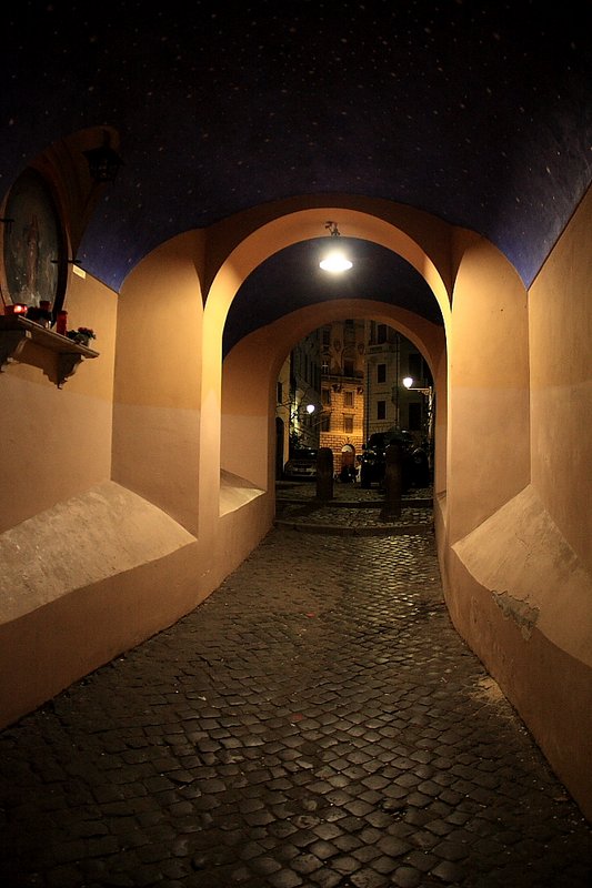 La mia vita. Римские записки, дневник онлайн