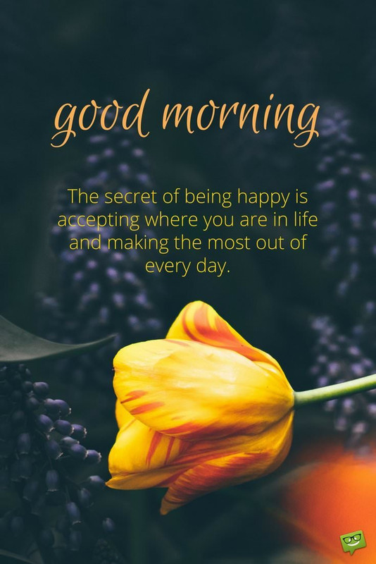 Good-morning-quote-about-the-secret-of-happiness-on-pic-with-tulip (1)