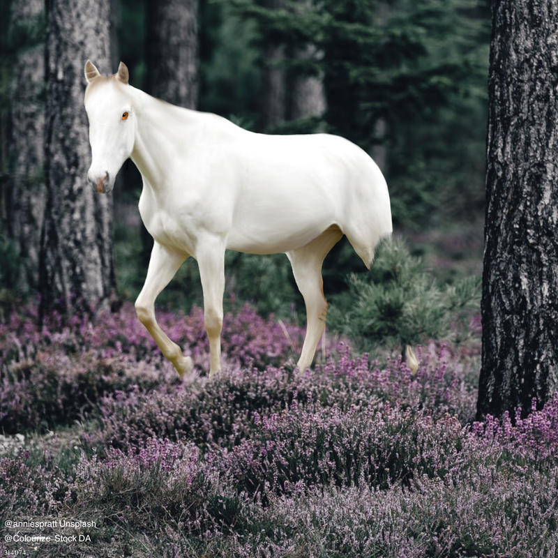 B3C1DA68-0D7A-4925-A099-AFFD19E2F63B