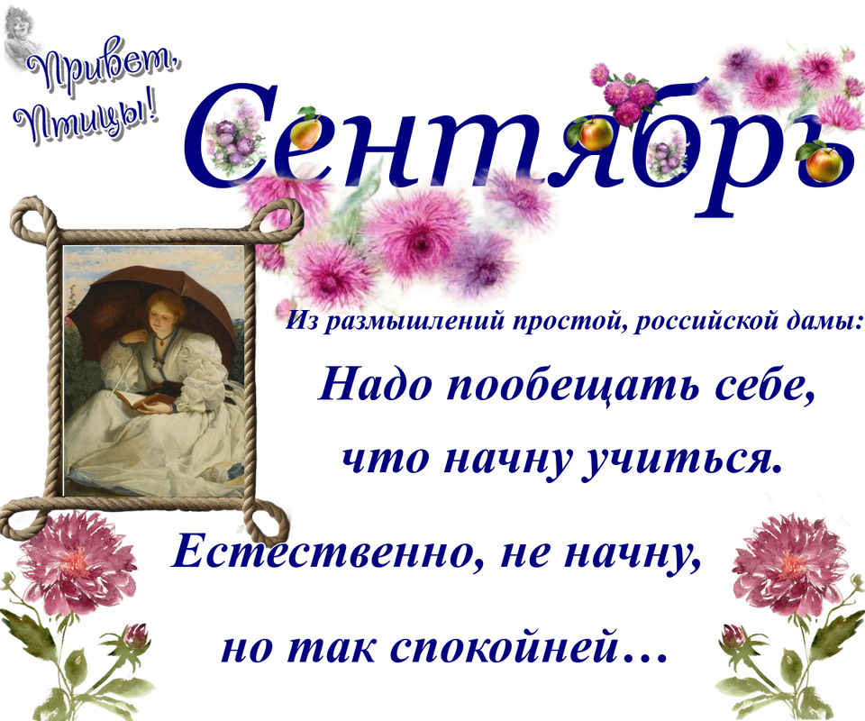 https://i.postimg.cc/8czSV8rN/03-09.png