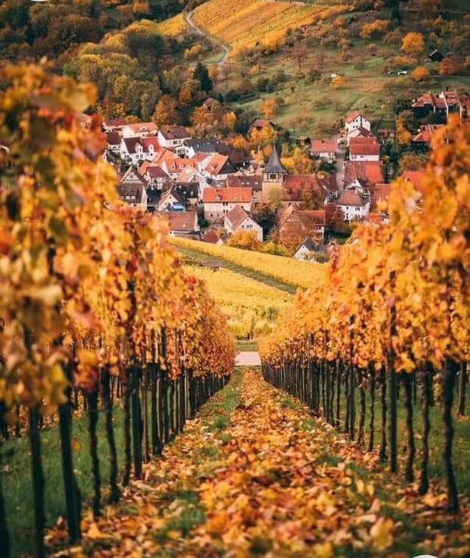 Screenshot_20230219_002314_Chrome