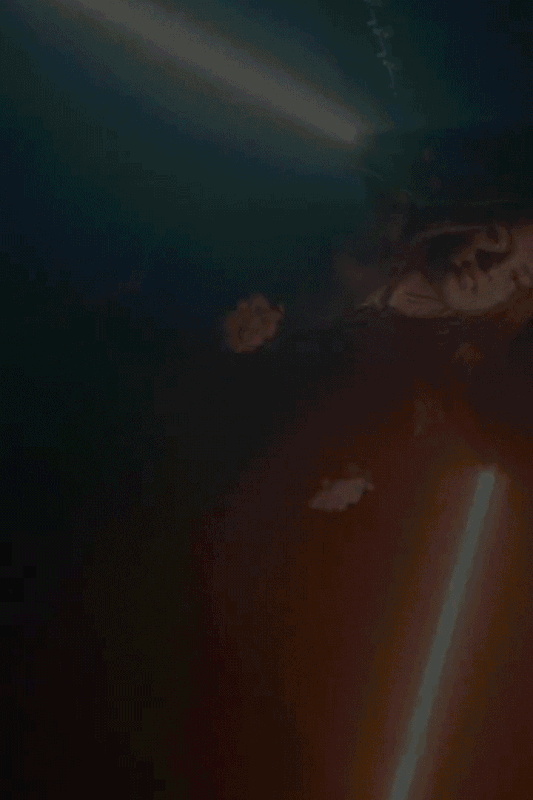 BoginiGypsyQueen_GIF01