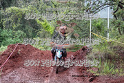 IMG-6323