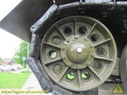 IMG-7441