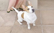 Scampy-Naidoo