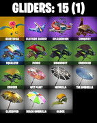 gliders-comp