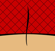 Shi-Back