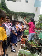 7a926723-1652-4003-99c6-fb06ccb408cb