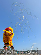 Lion Dance_36
